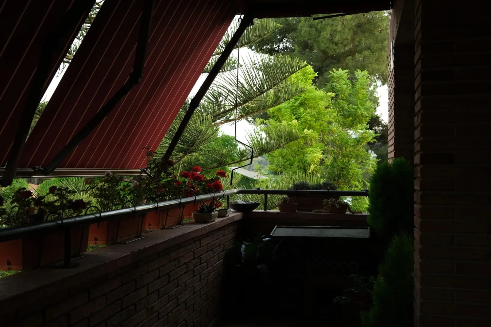 Balcon planté exposé sud