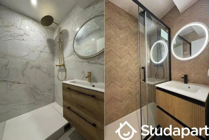 Salle d'eau avec douche et plan vasque