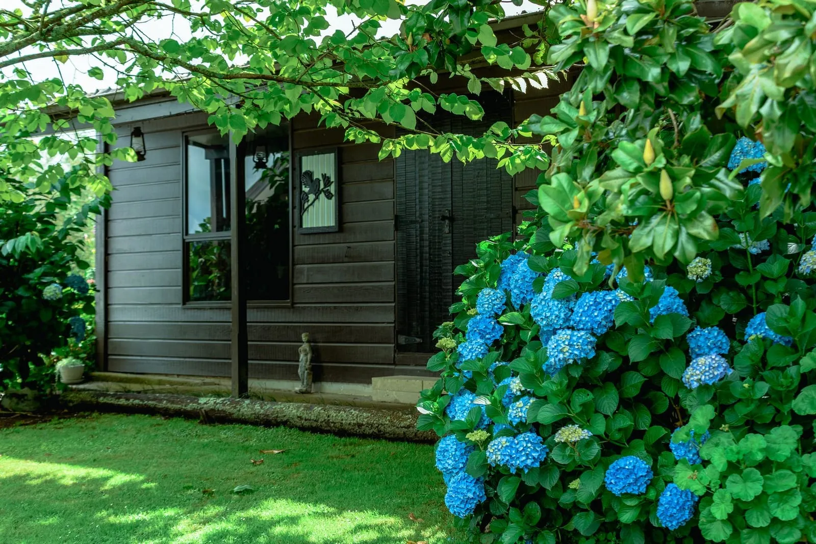 Jardin clos planté