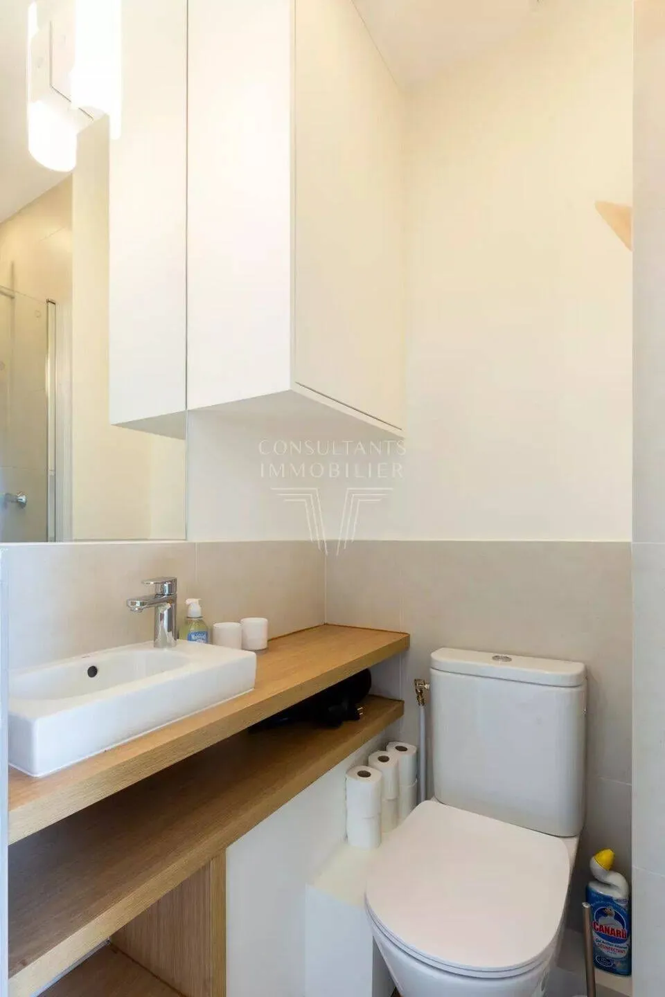 Salle d'eau avec douche, lavabo et WC