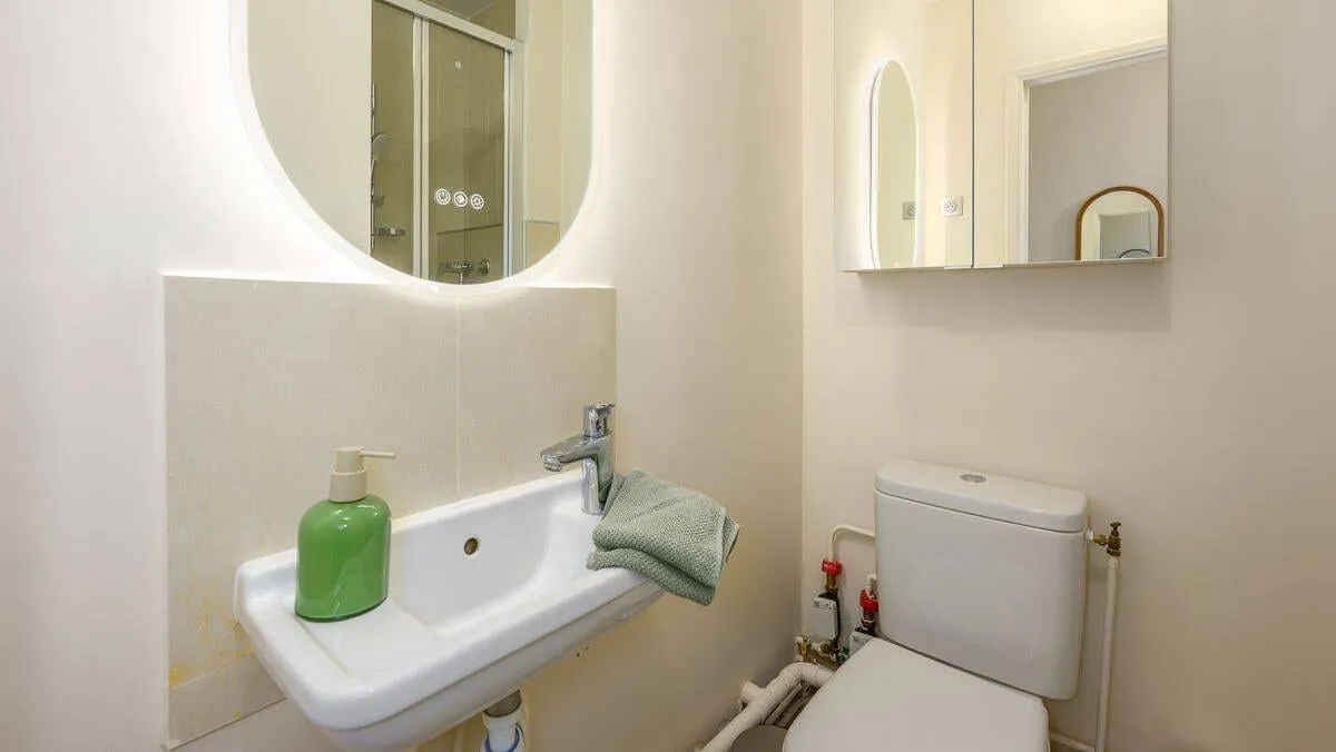 Salle d'eau avec vasque et miroir