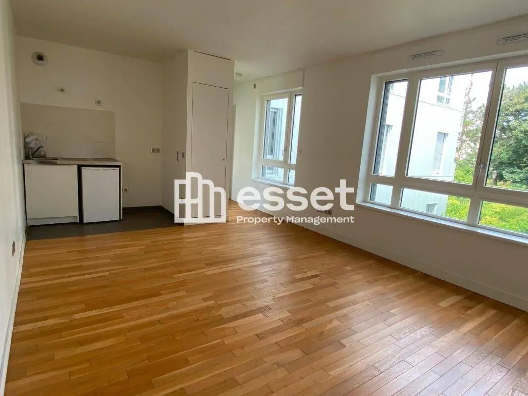 Séjour et kitchenette équipée
