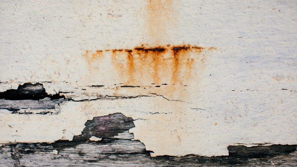 Trace d'infiltration au plafond d'un appartement après un dégât des eaux