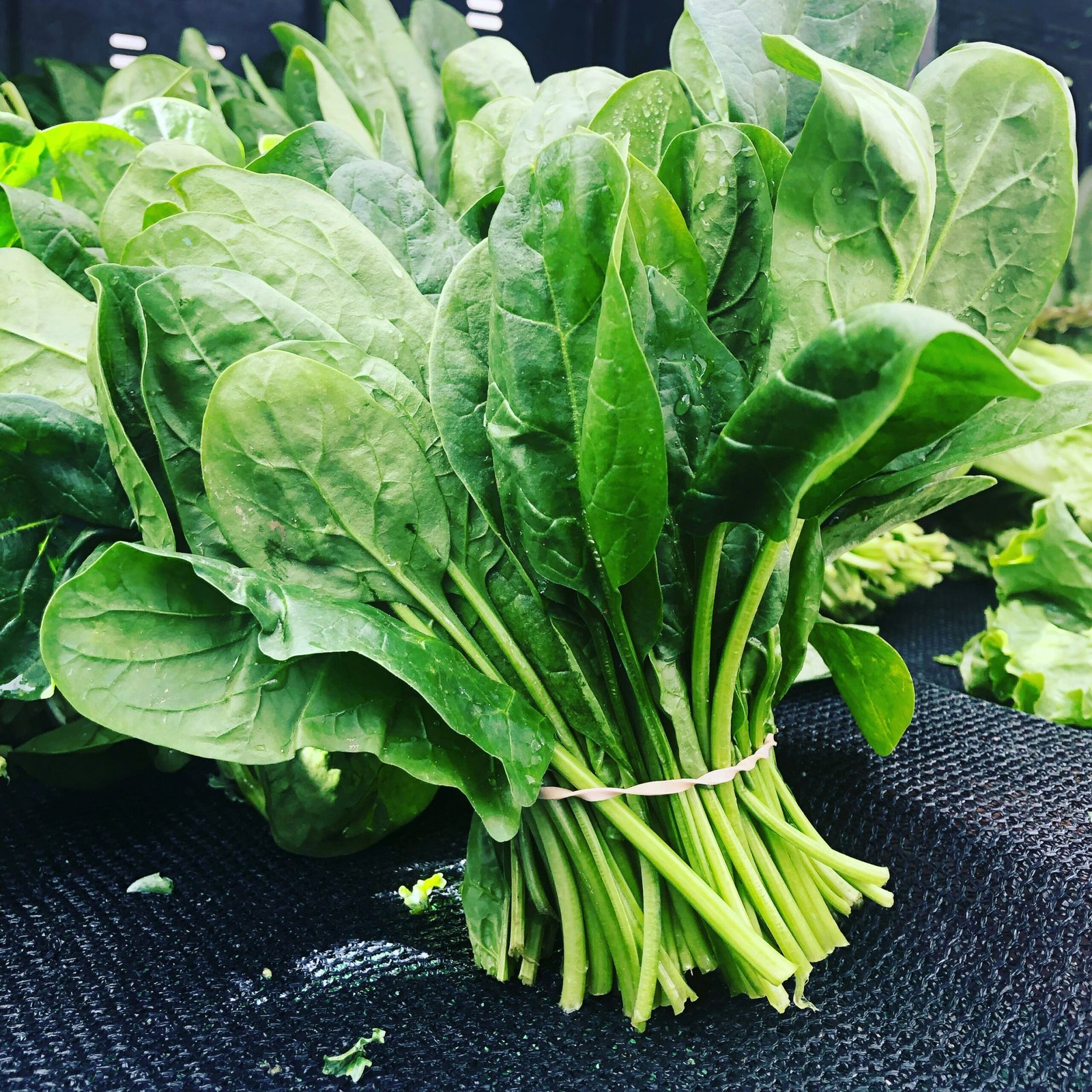 Why Spinach Is Your Best Ally in the Fight Against Fat!